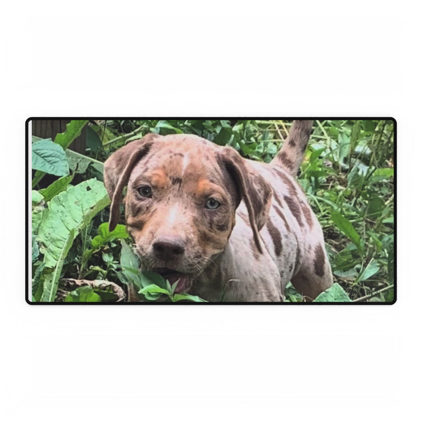 Desk Mats - Catahoula Lovers Design