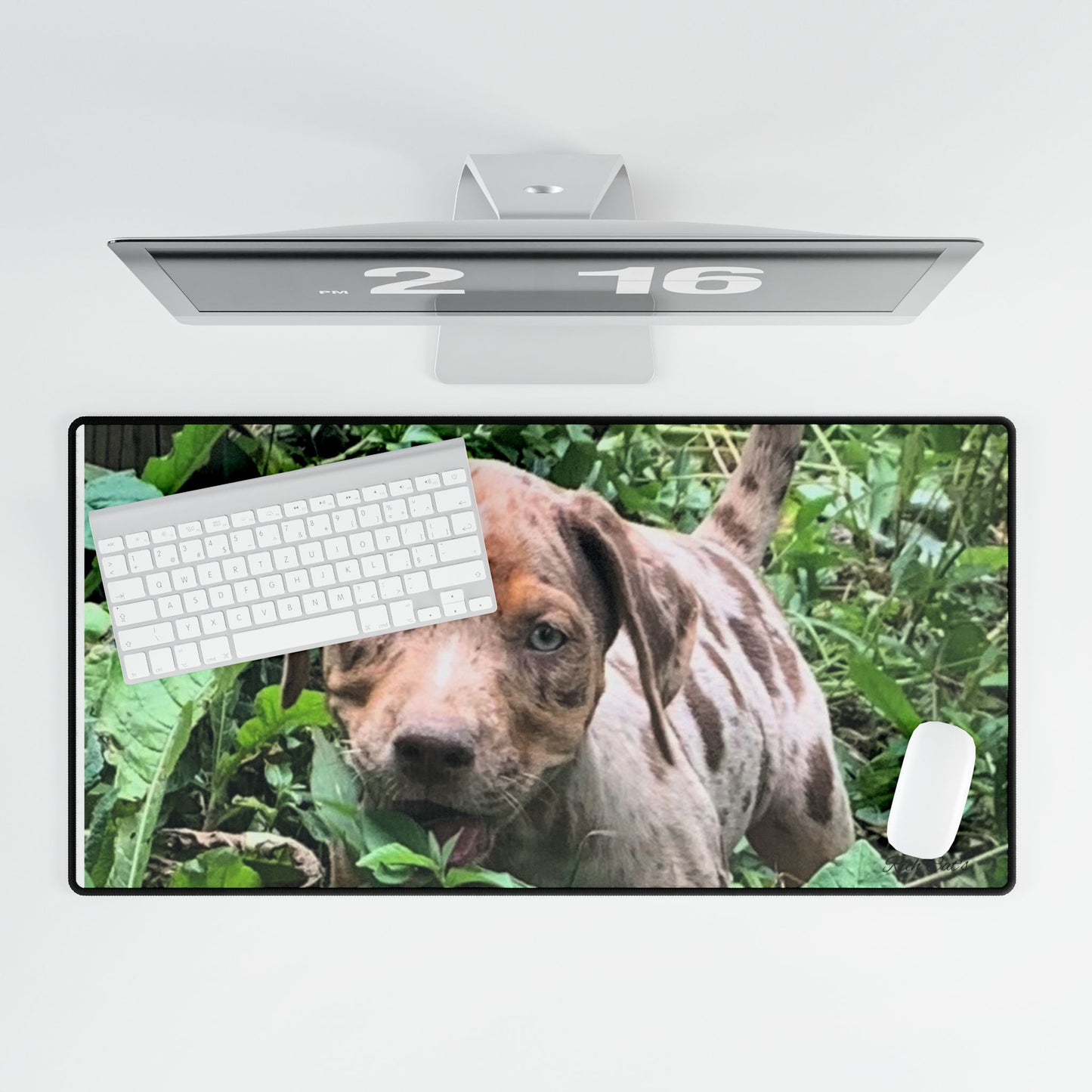 Desk Mats - Catahoula Lovers Design